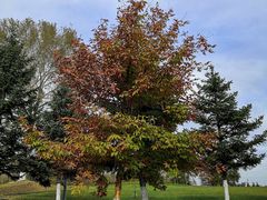 -长春世界雕塑园冰雪艺术天地