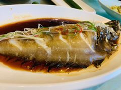 清蒸鲽鱼-巴依老爷新疆美食(魏公村店)