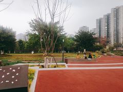 -重庆彩云湖湿地公园