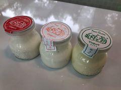 原味手工酸奶酪-狐狸家·酸奶酪专门店(平江路店)