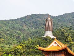 -深圳仙湖植物园