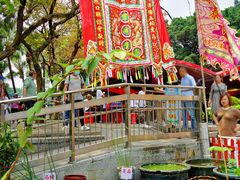 -荔湾湖公园
