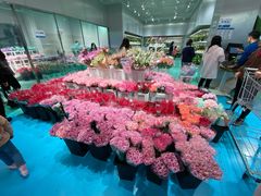 -盒马X会员店(上海森兰商都店)