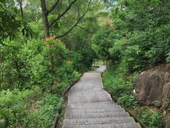 -火炉山森林公园