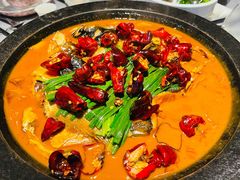 -柿合缘新京菜(国金中心商场店)