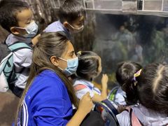 -上海市浦东新区恒宇幼儿园(杨南部)