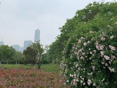 门面-南京明基医院