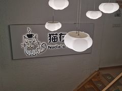 用餐区-猫在这儿猫咪咖啡馆·撸猫馆