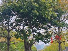 -厦门高崎国际机场-T3航站楼