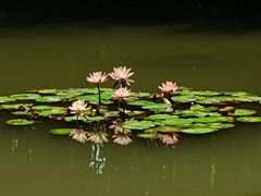 -上海方塔园