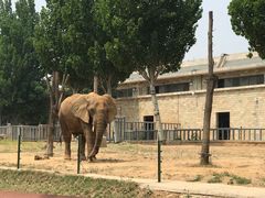 -石家庄市动物园