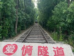 -涂山风景区