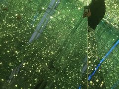 -深圳独角兽星空艺术馆
