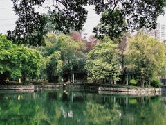 -晓港公园