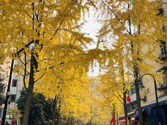 -百家鲜·杭帮菜
