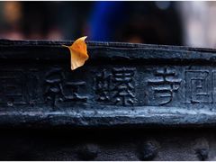 -红螺寺