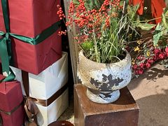 -知物癖(牛王庙店)