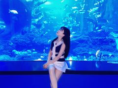 -多彩贵州城极地海洋世界