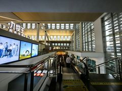 -厦门高崎国际机场-T3航站楼