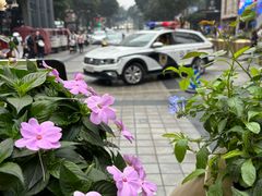 -人民解放纪念碑