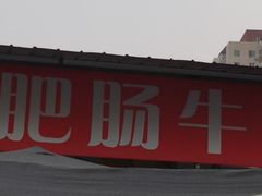 -老窦肥肠板面