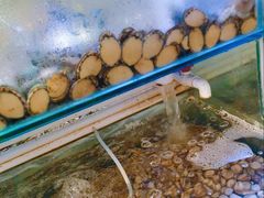 -四海蒸鲜蒸汽海鲜自助(北戴河店)