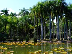 -中国科学院西双版纳热带植物园
