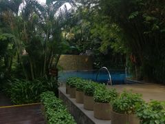 -三亚湾海居铂尔曼度假酒店