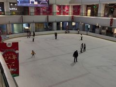 -炫采冰场(红博中央公园商场店)