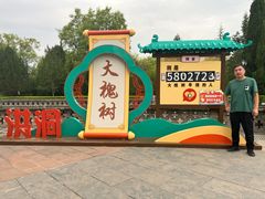 -大槐树寻根祭祖园
