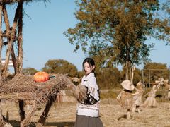 -长兴太湖图影湿地文化园