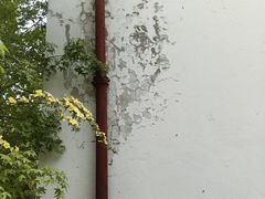 -北京大学赛克勒考古与艺术博物馆
