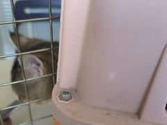 -瑞派福兴宠物医院犬猫全科·骨科·中西医结合(河东店)