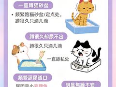 -守诺宠物医院·眼科· 特色牙科·异宠专科(虹口店)