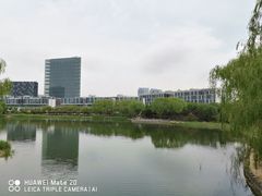 -大兴滨河森林公园