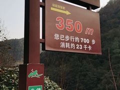 -桃花岭景区