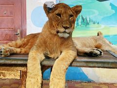 -大连森林动物园