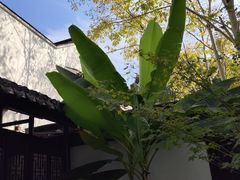 -练塘古镇