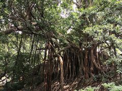 -乌山风景区