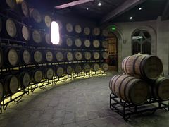 -龙谕酒庄