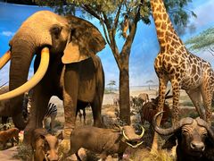 -陕西自然博物馆