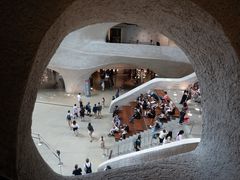 -美国自然历史博物馆