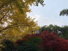 -岳麓山风景名胜区