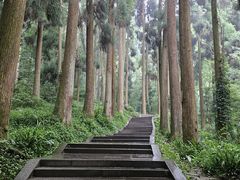 -青城山