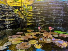 -国家植物园南园