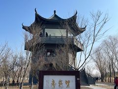 -盐城丹顶鹤湿地生态旅游区