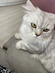 -Beauty Nails 美甲美睫皮肤管理