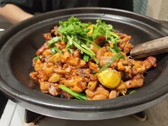 -肥家大排档(天河体育西店)