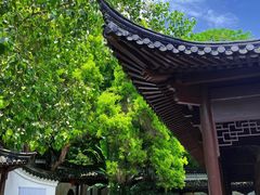 -深圳国际园林花卉博览园