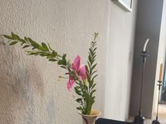 -江南雅厨(李公堤店)